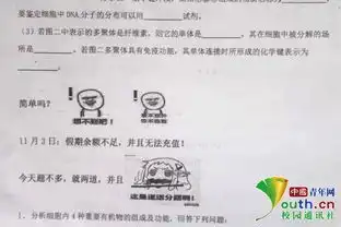 宜宾这所高中现表情包试卷,学生们笑着做完,哈哈哈哈