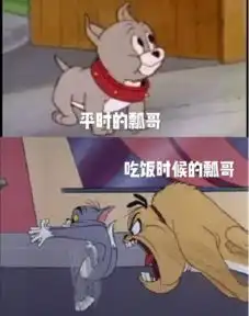 宋茜领养了狗狗碗妹,网友纷纷心疼狗狗瓢哥