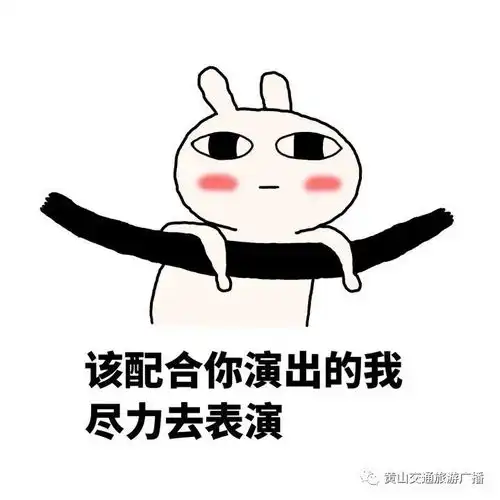 晴天丫头,是我你不满意