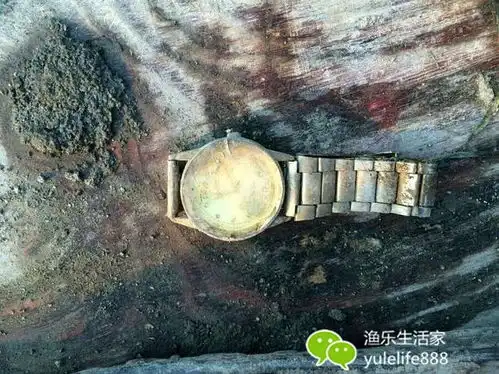 钓鱼空军搞笑图片钓鱼搞笑图片动态图片民间钓鱼人搞笑图片钓鱼带字搞笑图片大全