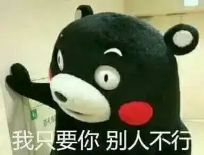 ta们说你咋看老罗欲凭中端手机秒天秒地
