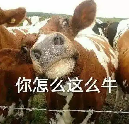 惊呆乐清一轿车破墙而出,凿出一道门在练铁头功