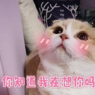 十条段子我想给闺女换个爹