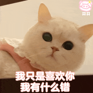 近期热图,斗图聊天表情包