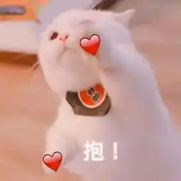 快看就是你你被收录进文教大词典了