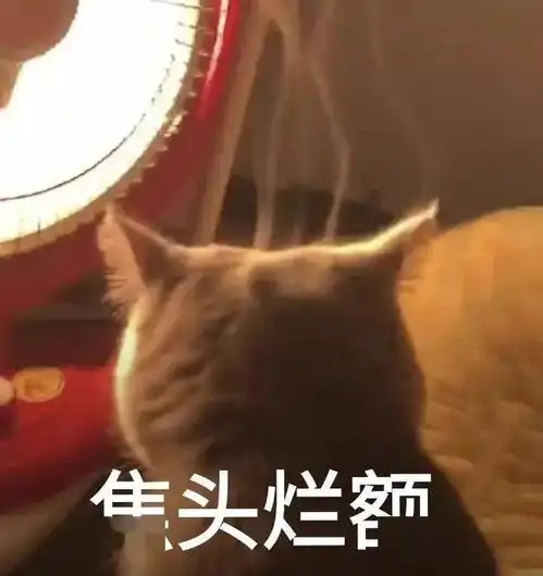 太真实了来看看哪个是你的潜台词