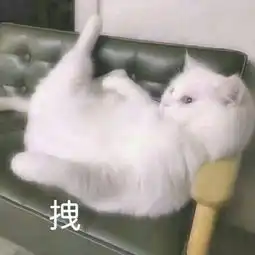 娱乐甜甜圈16