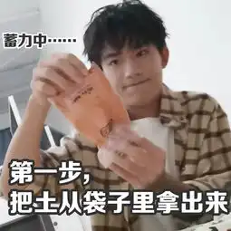 饭制易烊千玺表情包连续剧,鸵鸟是怎样练成的