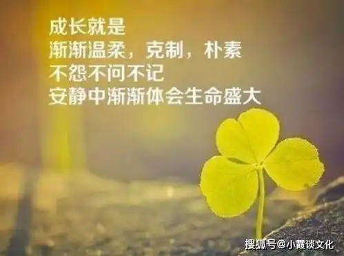 2021最潮的短句子,句句经典,做个性签名超赞