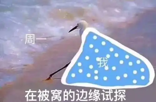 年度表情包大赏小猪佩奇,假笑boy,边缘试探.你最爱