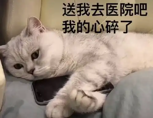 长了两个的猫可以在今天的草原拥有姓名吗