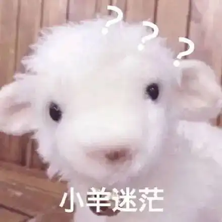 全网都在心疼giegie为什么giegie总是把握不住