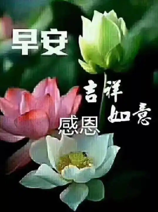 聊天不用打字的早上好表情包,祝大家事事顺心平平安安