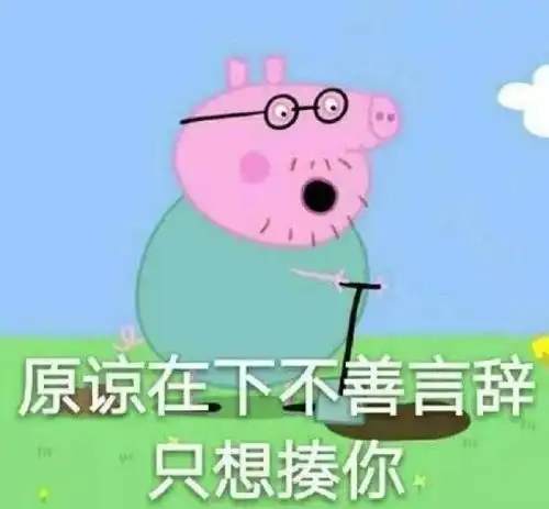 回族看小猪佩奇算不算破戒