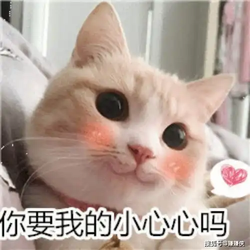 沙雕表情包图片哥哥,钓我好吗