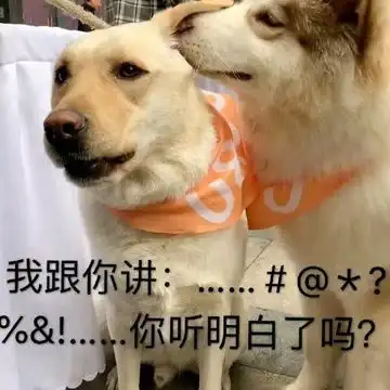 头像参考