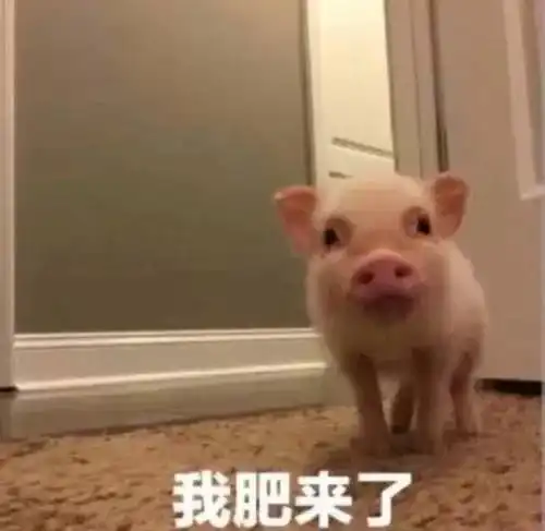 天津相声广播脑子里自动响起了柯南的bgm