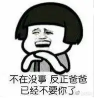 发给男女朋友的一整套搞笑套路表情包爸爸差点把你丢了