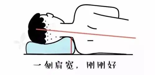 告别劳累,脖子酸痛用这个就对了全国包邮送50个护颈枕