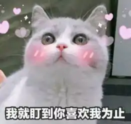 女生看了会荷尔蒙爆发的表情包,第4张太撩人,我投降