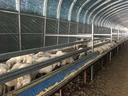 宜春养鸡大棚养殖温室大棚