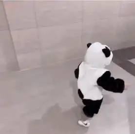 可爱小表情包熊和熊猫