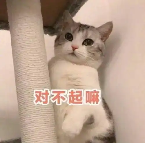 聊天斗图表情包i大家都听我说