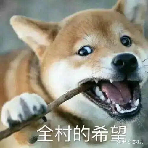 那个些无人可推的表情包1