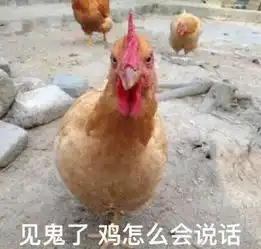泰国选美秒变养鸡场,港姐丑出新高度这届选美是被下了降头吗