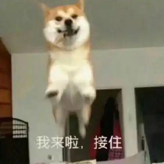 一学就会,一拍就废求求你别再祸害这么好看的妹子了......