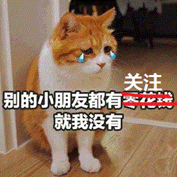 网友带猫去剃了毛发,它回家后就躲进窝里脸朝下不理人,伤心了