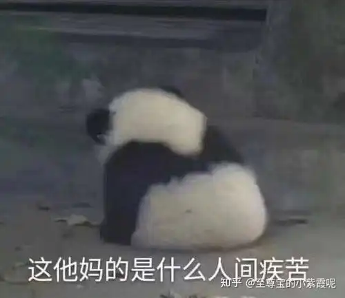 素颜化妆差距大且p图又非常牛逼的女生你们怎么看