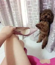 搞笑gif趣图这里的医生是怎么了,感觉不敢上这家医院了