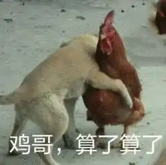 东北孩子模仿英语老师爆笑走红老师上课讲的方言够你笑一年啊