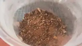 新疆酒红工匠收获蚁第一期这该死的光线