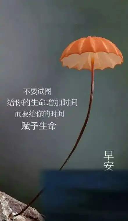 测试一个超长简介的文章