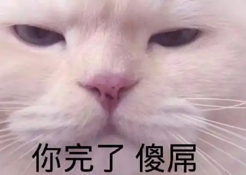 猫咪表情包感觉收藏起来别输在起跑线