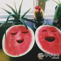 开心西瓜,尝一口解暑