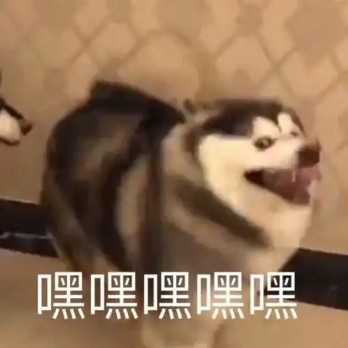 玩收藏夹