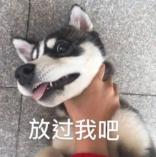 测试一个超长简介的文章