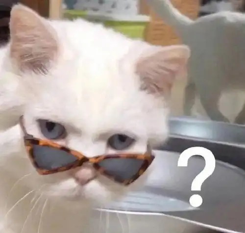 猫猫表情包你失去了和我说话的机会