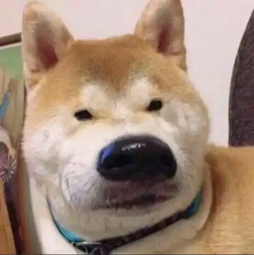 测试一个超长简介的文章