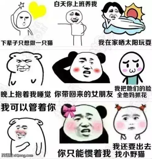 搞笑图片练过妹子的能量,真是不可小视呀