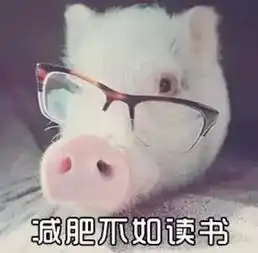猪年必备表情包大全