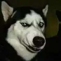 测试一个超长简介的文章