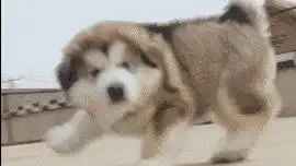 看图说话