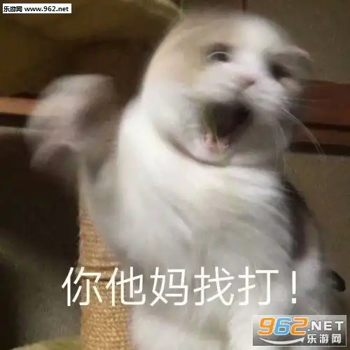 等一个人的关心表情包图片我投降好了表情包下载乐游网游戏下载