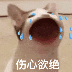 近期热图,抖音表情包