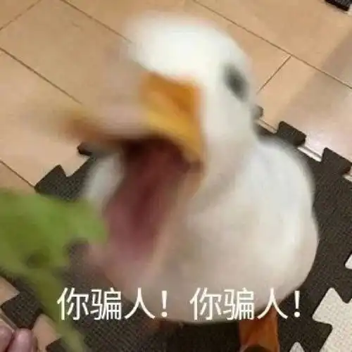 沙雕表情包拿去套路男朋友