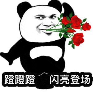 表情包我做什么都是对的
